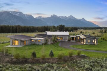 Sagebush - Jackson, Wy